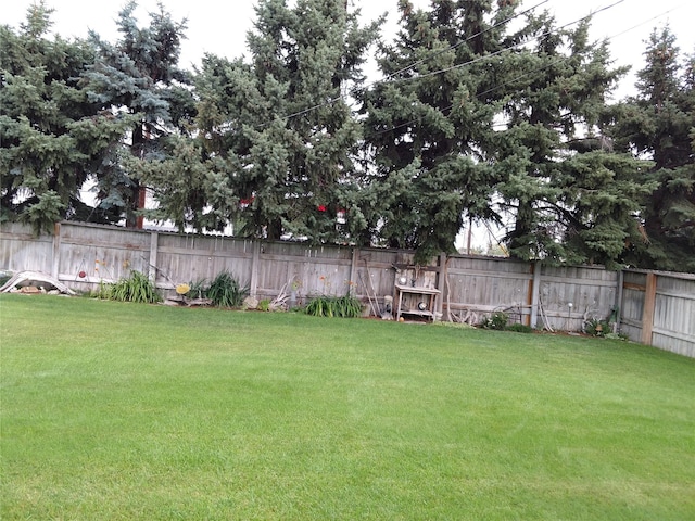 view of yard with a fenced backyard