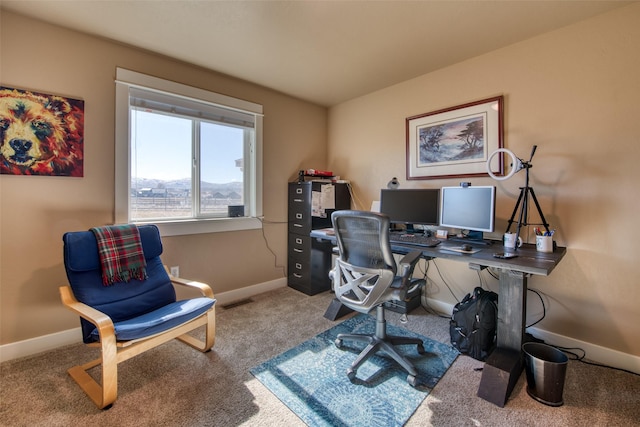 carpeted office with baseboards