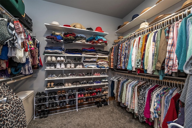 walk in closet with carpet floors