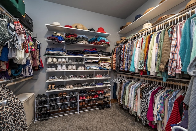 spacious closet featuring carpet