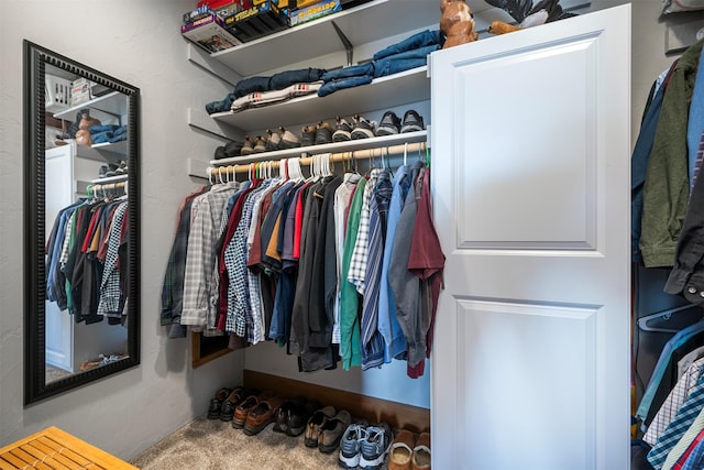 spacious closet featuring carpet