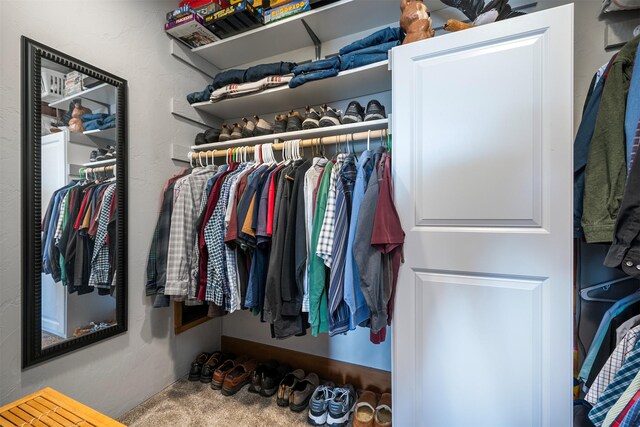 view of walk in closet
