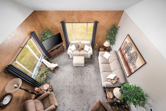 living room with vaulted ceiling and carpet