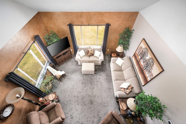 living room featuring healthy amount of natural light and vaulted ceiling