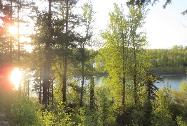 water view with a forest