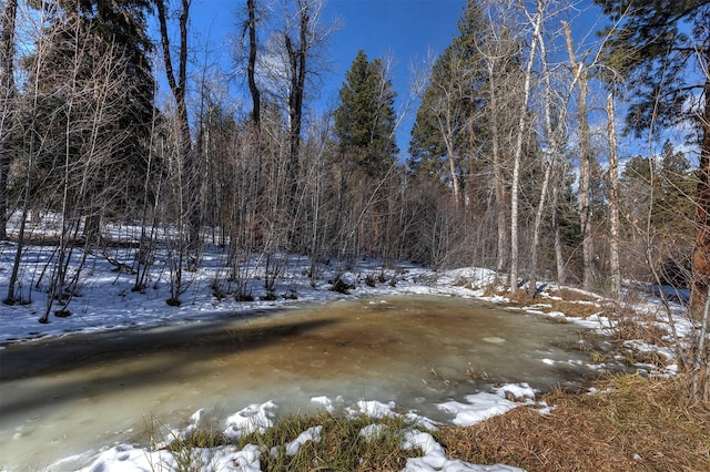 snowy view featuring a wooded view