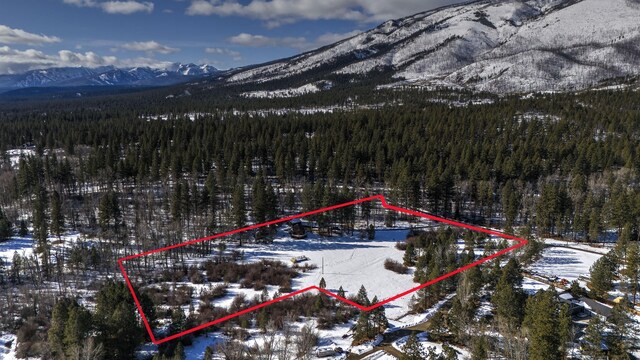 900 Springhill Rd, Hamilton, MT 59840