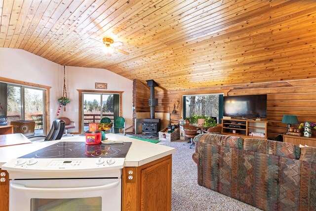 900 Springhill Rd, Hamilton, MT 59840