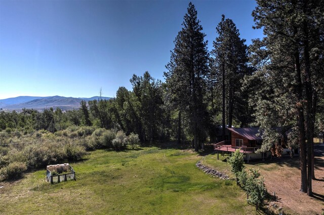 900 Springhill Rd, Hamilton, MT 59840