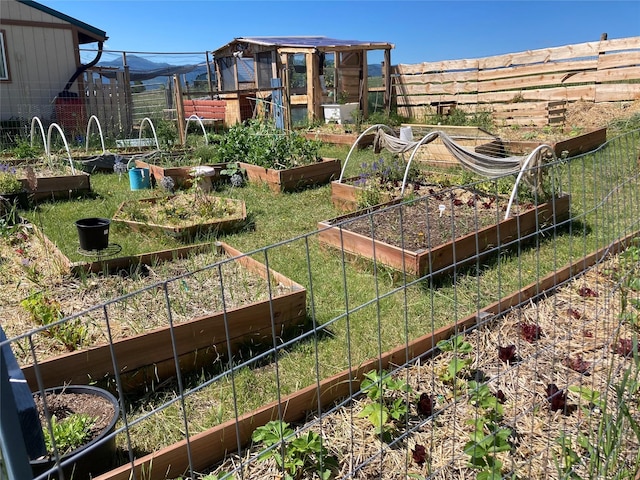 view of yard featuring a vegetable garden