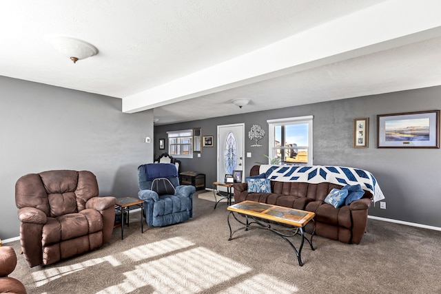 living area with carpet floors and baseboards