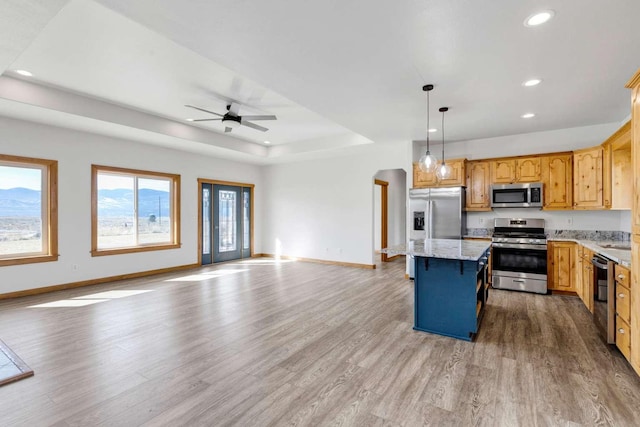 kitchen with stainless steel appliances, open floor plan, a raised ceiling, and wood finished floors