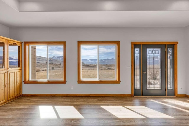 entryway with plenty of natural light, baseboards, a mountain view, and wood finished floors