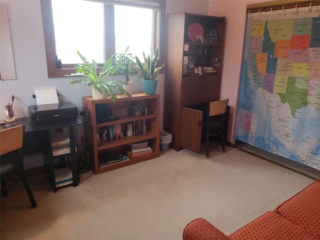 office area featuring carpet