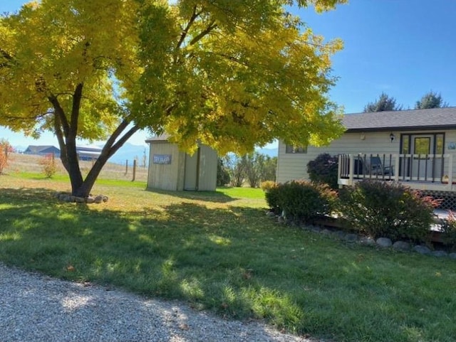 view of yard featuring a storage shed and an outdoor structure