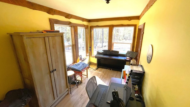 interior space featuring light wood finished floors