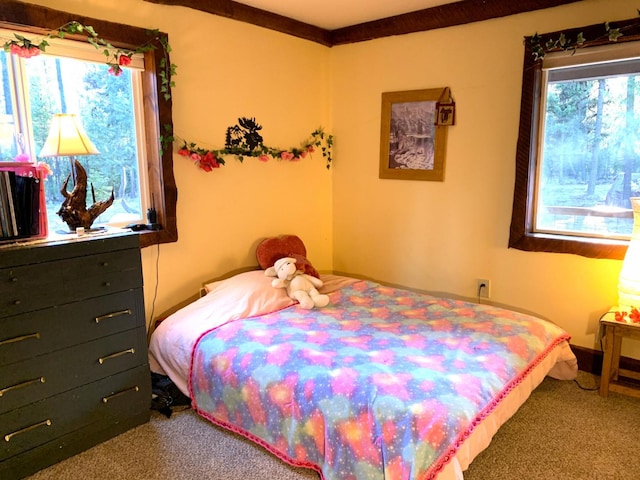 bedroom with carpet floors