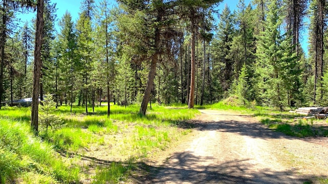 view of road featuring a wooded view