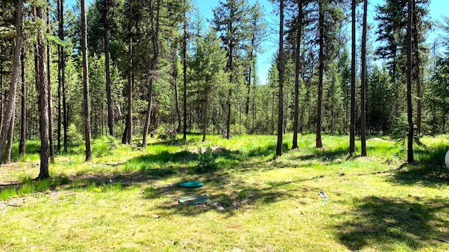 view of nature with a wooded view