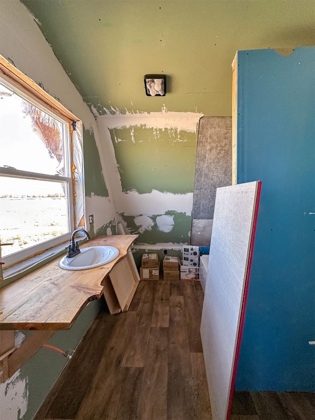 bathroom with wood finished floors and a sink