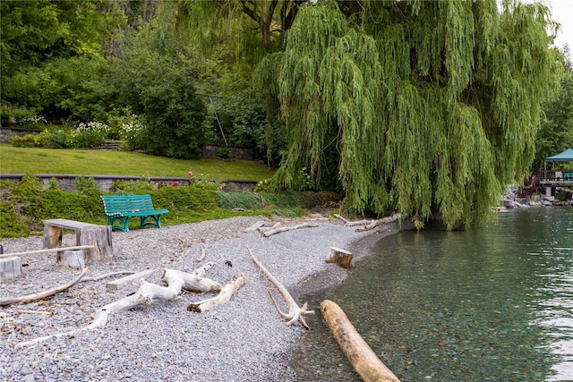 view of property's community with a water view and a yard