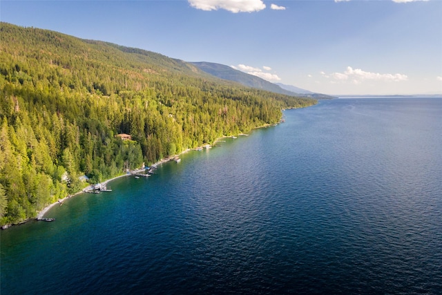 bird's eye view featuring a view of trees and a water and mountain view