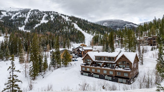 snowy aerial view featuring a mountain view and a wooded view