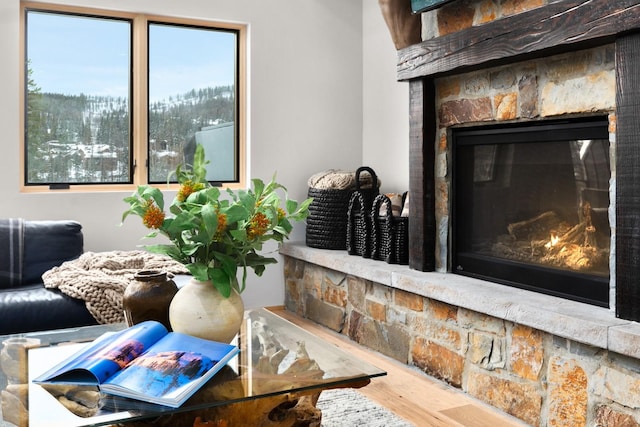 interior details featuring a fireplace