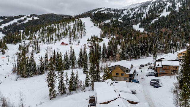 snowy aerial view with a mountain view and a view of trees