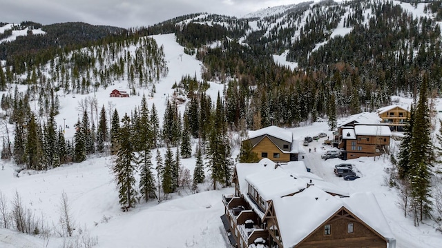 snowy aerial view with a forest view and a mountain view