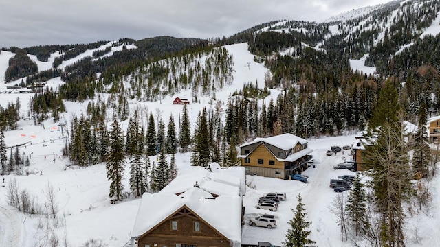 snowy aerial view featuring a mountain view