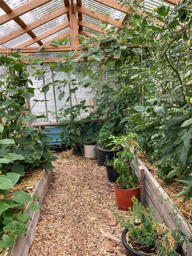 view of yard featuring a vegetable garden and a pergola