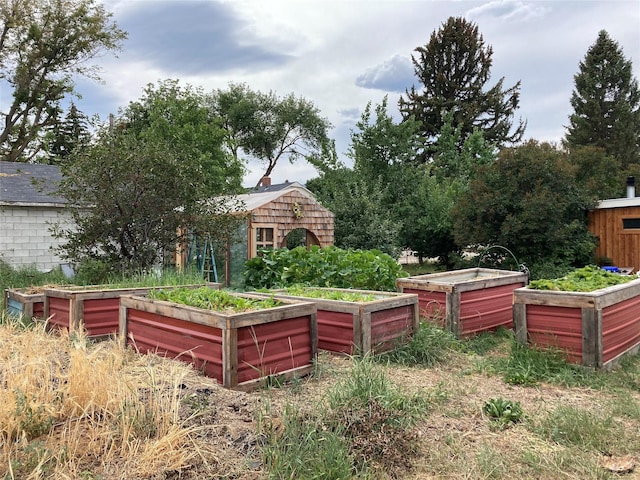 view of yard with a garden