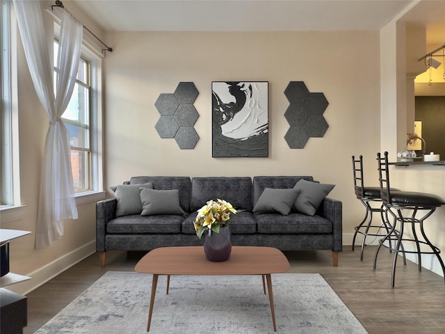 living room with plenty of natural light, baseboards, and wood finished floors