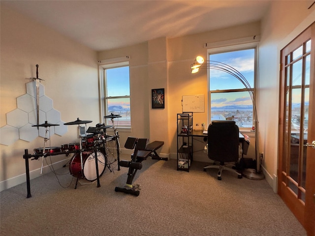 interior space featuring baseboards, a wealth of natural light, and carpet flooring