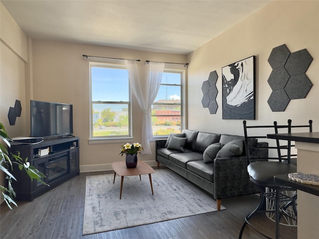 living room featuring wood finished floors and baseboards