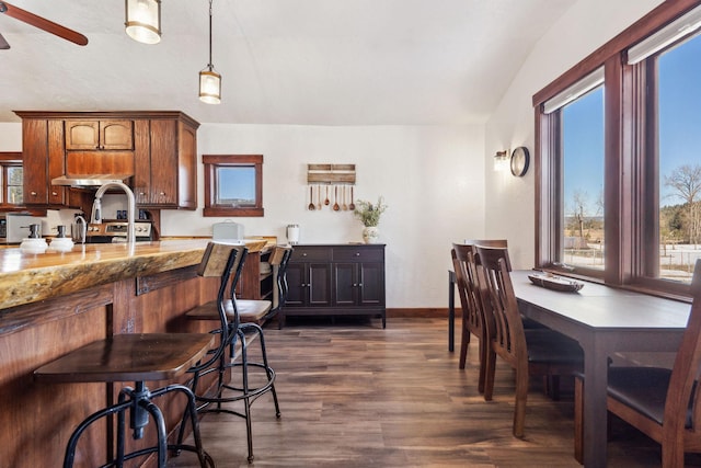 dining room with baseboards, dark wood finished floors, and a ceiling fan