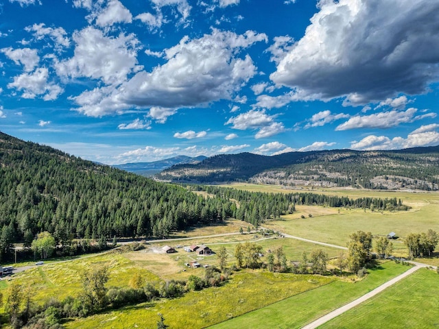 property view of mountains with a rural view