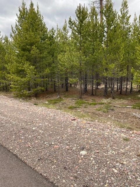 Listing photo 3 for NHN Red Baron Ln, Marion MT 59925