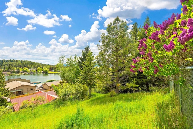 property view of water with a view of trees