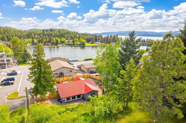 bird's eye view with a water view and a wooded view