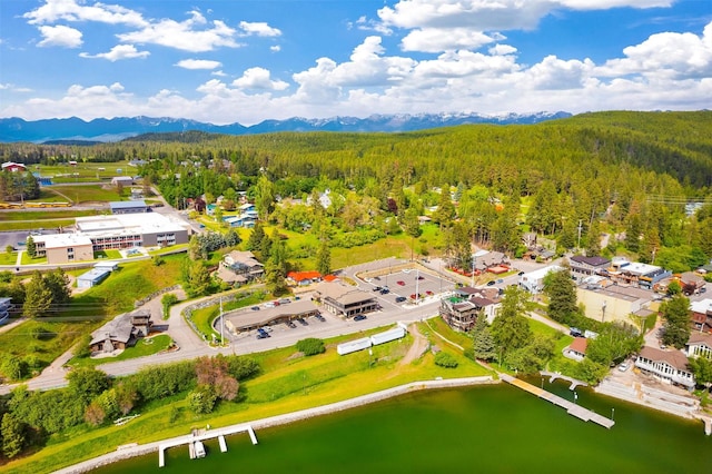 aerial view featuring a wooded view and a water and mountain view