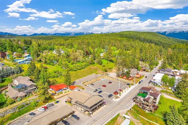 bird's eye view featuring a mountain view and a view of trees