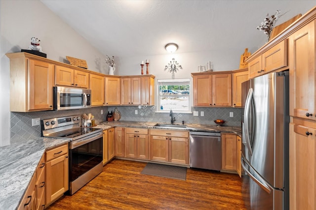 kitchen featuring lofted ceiling, stainless steel appliances, dark wood-type flooring, a sink, and backsplash