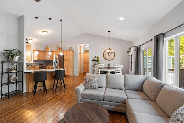 living area featuring lofted ceiling and dark wood-style flooring