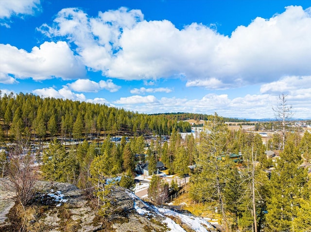 aerial view featuring a wooded view