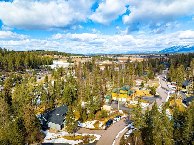 bird's eye view with a mountain view and a wooded view