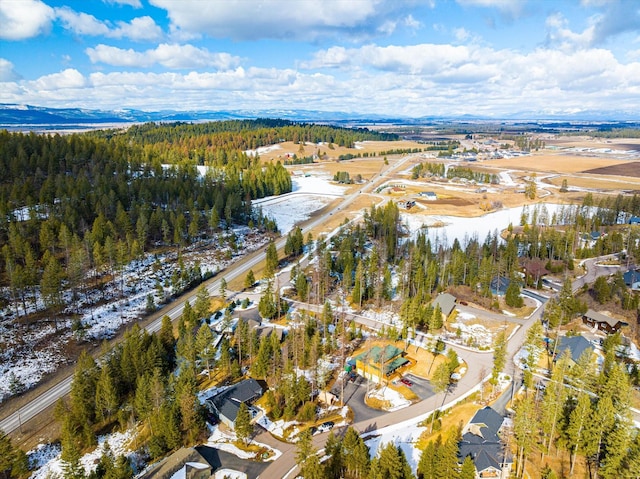 aerial view with a view of trees