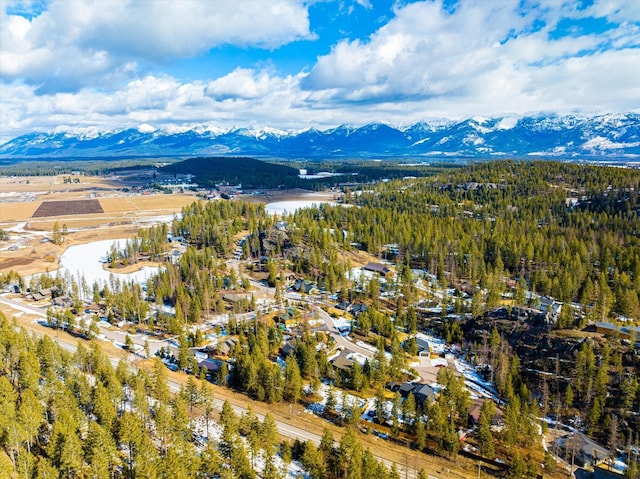 drone / aerial view with a mountain view and a forest view