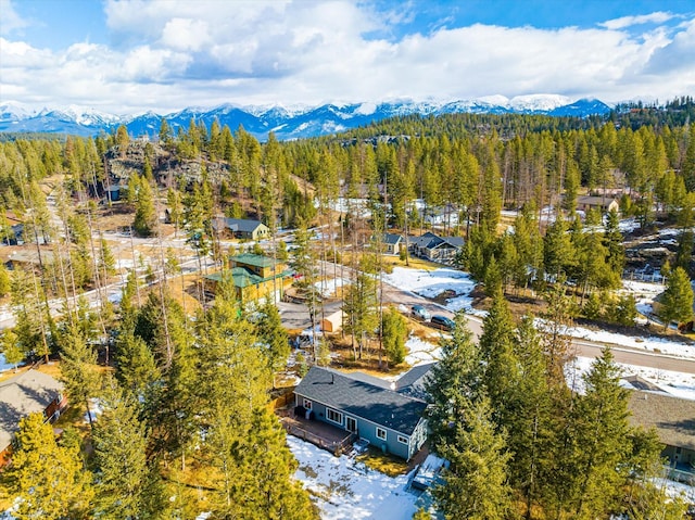 bird's eye view featuring a mountain view and a wooded view